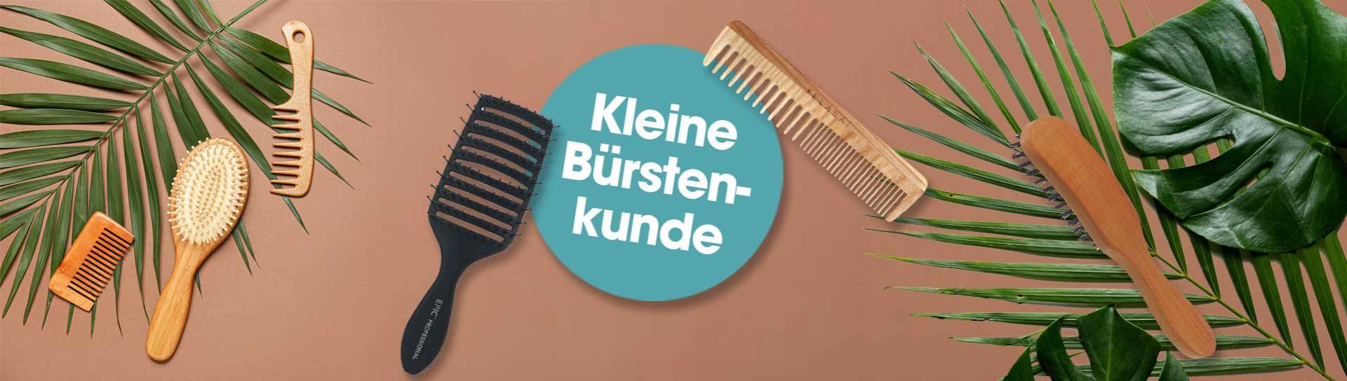 Kleine-Bürstenkunde