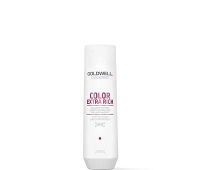 Goldwell Dualsenses Color Extra Rich Brilliance Shampoo