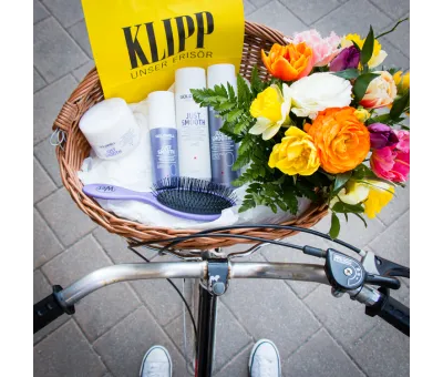 Goldwell Dualsenses Just Smooth Taming Shampoo