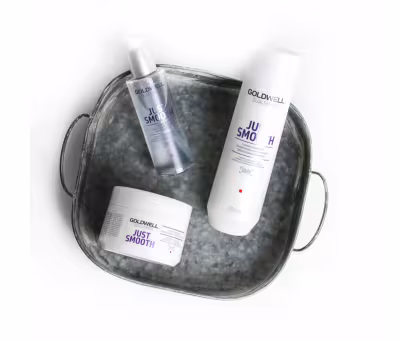 Goldwell Dualsenses Just Smooth Taming Shampoo