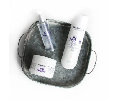 Goldwell Dualsenses Just Smooth Taming Shampoo