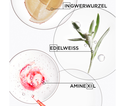 L'Oréal Kérastase Genesis Discovery Set