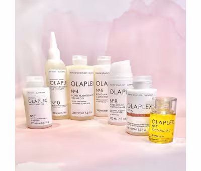 Olaplex Bond Maintenance Shampoo No. 4