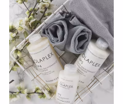 Olaplex Bond Maintenance Shampoo No. 4