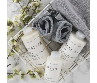 Olaplex Bond Maintenance Shampoo No. 4