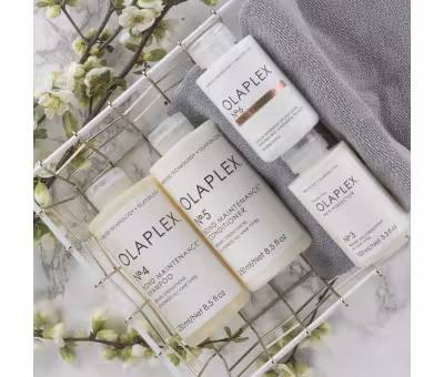 Olaplex Bond Maintenance Shampoo No. 4