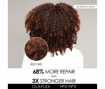 Olaplex Hair Perfector No. 3
