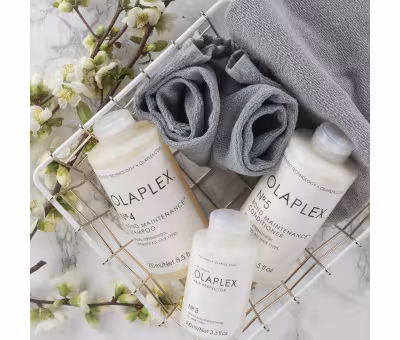 Olaplex Hair Perfector No. 3