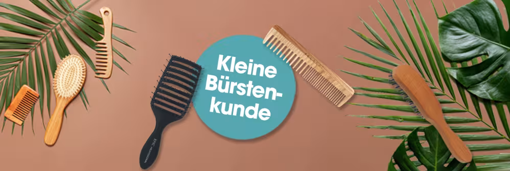 Bürstenkunde
